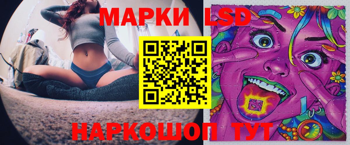 где купить наркоту  Марки NBOMe 1,5мг  Вход с VPN  Зерноград 