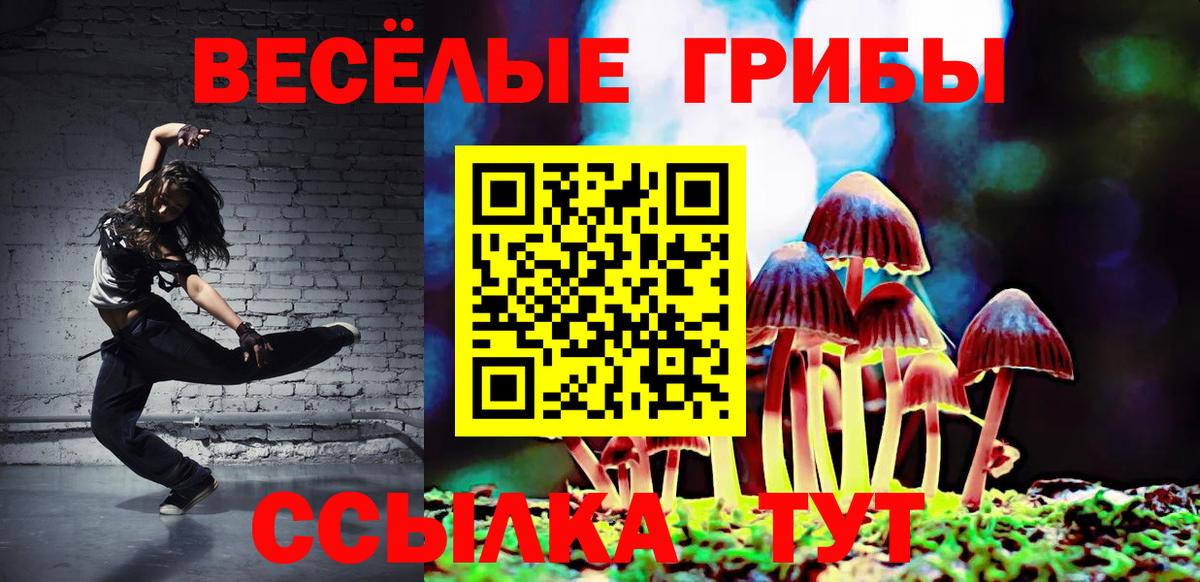 Зерноград  где продают наркотики  Вход с VPN  Галлюциногенные грибы прущие грибы 
