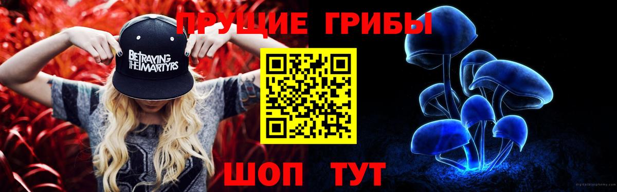 Галлюциногенные грибы GOLDEN TEACHER Зерноград